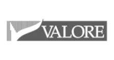 logo-valore